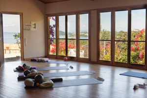 Yoga Shala
